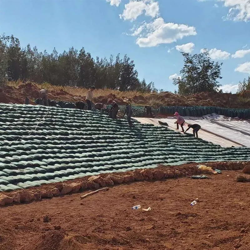 حفاظت از سد ها Geobag Geotextile Nonwoven برای تقویت زیرزمین 2