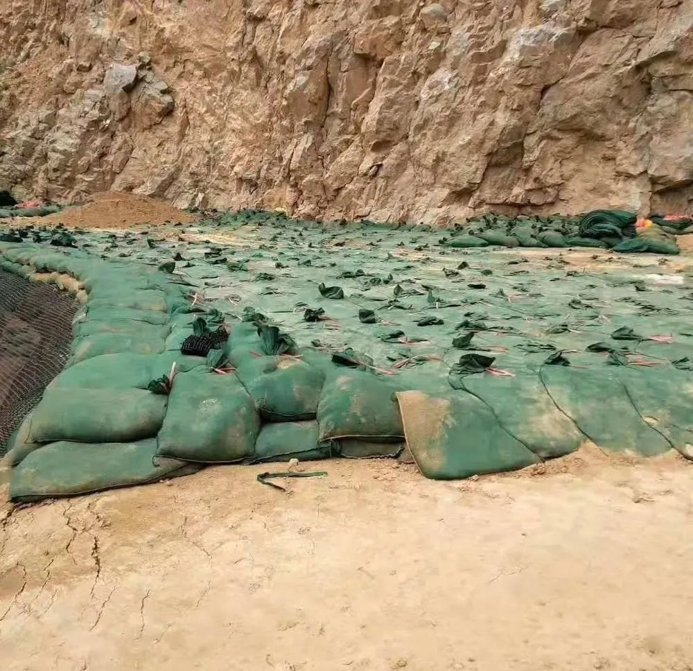 صنعت 40*80 سانتی متر ژئوتکستیل ژئوتکستیل Geobag برای حفاظت از شیب بزرگراه ژئوتکستیل ژئوتکستیل ژئوتکستیل ژئوتکستیل ژئوتکستیل ژئوتکستیل ژئوتکستیل 6