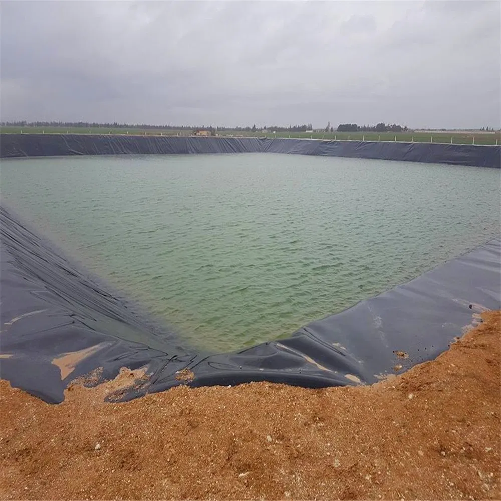 پلی اتیلن در فضای باز مزرعه ماهی گیوممبران لاینر استخر HDPE لاینر احتواگر استخر بزرگ لاینر ضد آب ژوممبران لاینر استخر 2