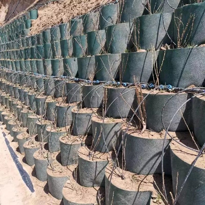 شبکه زمینی ژئوسل پلاستیکی HDPE مقاوم به خوردگی که در ساخت جاده استفاده می شود