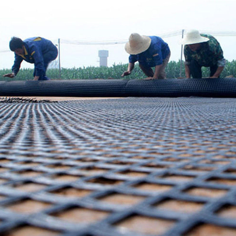 80kn فولاد پلاستیکی Geogrid با مقاومت اسید و قلی برای حفاظت از شیب زیر طبقه