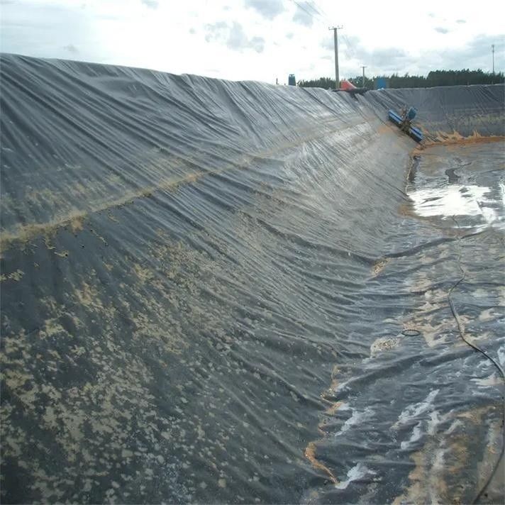 0.5mm 1mm 1.5mm پلاستیک ضد آب آب آبداری ژئوممبران Hdpe Liner مزارع ماهی عمده فروشی ژئوممبران لاینر استخر