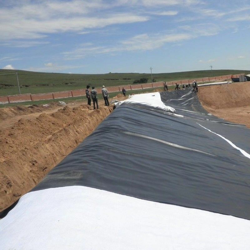 0.5mm 1mm 1.5mm پلاستیک ضد آب آب آبداری ژئوممبران Hdpe Liner مزارع ماهی عمده فروشی ژئوممبران لاینر استخر