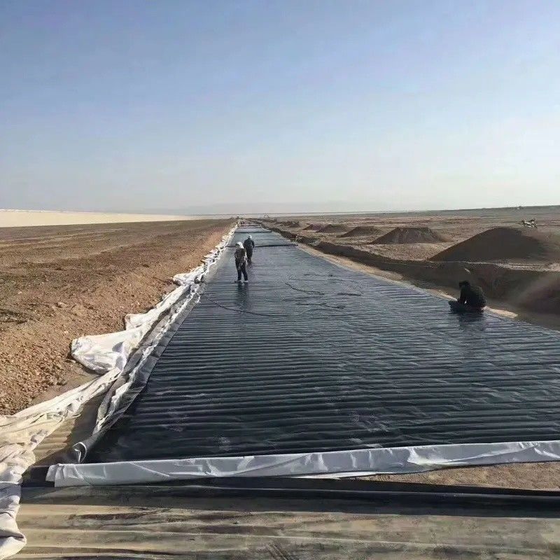 0.5mm 1mm 1.5mm پلاستیک ضد آب آب آبداری ژئوممبران Hdpe Liner مزارع ماهی عمده فروشی ژئوممبران لاینر استخر