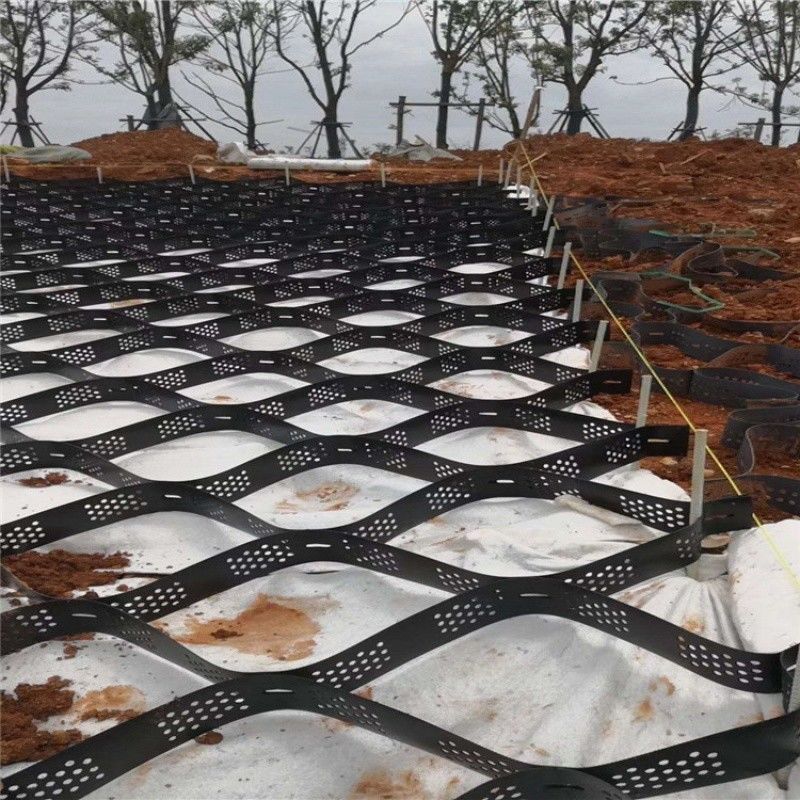 ارتفاع عسل سیاه HDPE Geocell Reinforcement Driveway برای جاده سنگ شکن استیبلایزر شبکه دیوار نگهدارنده