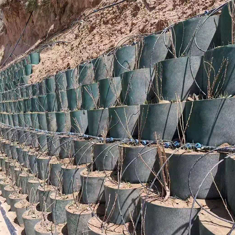 سیستم محاصره سلول بالا با بافت Honeycomb HDPE Geocell برای جاده پایه حفاظت از شیب پارکینگ پارکینگ دیوار نگهدارنده