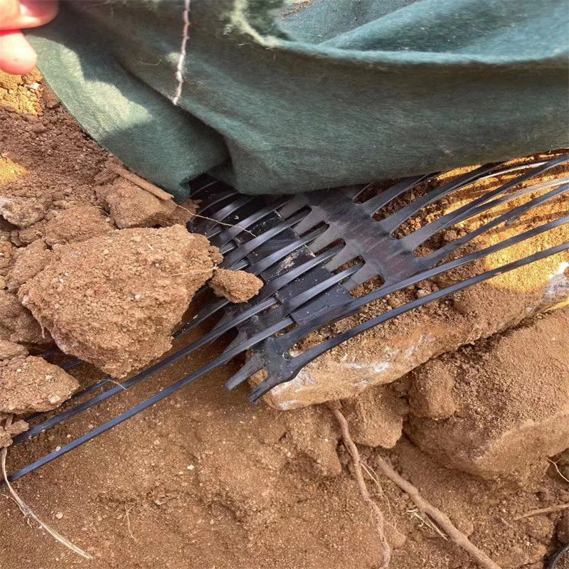PP پلاستیک PE یک طرفه یک محوری پلی استر Geogrid Gravel Grid زمین تثبیت کننده برای تقویت خاک