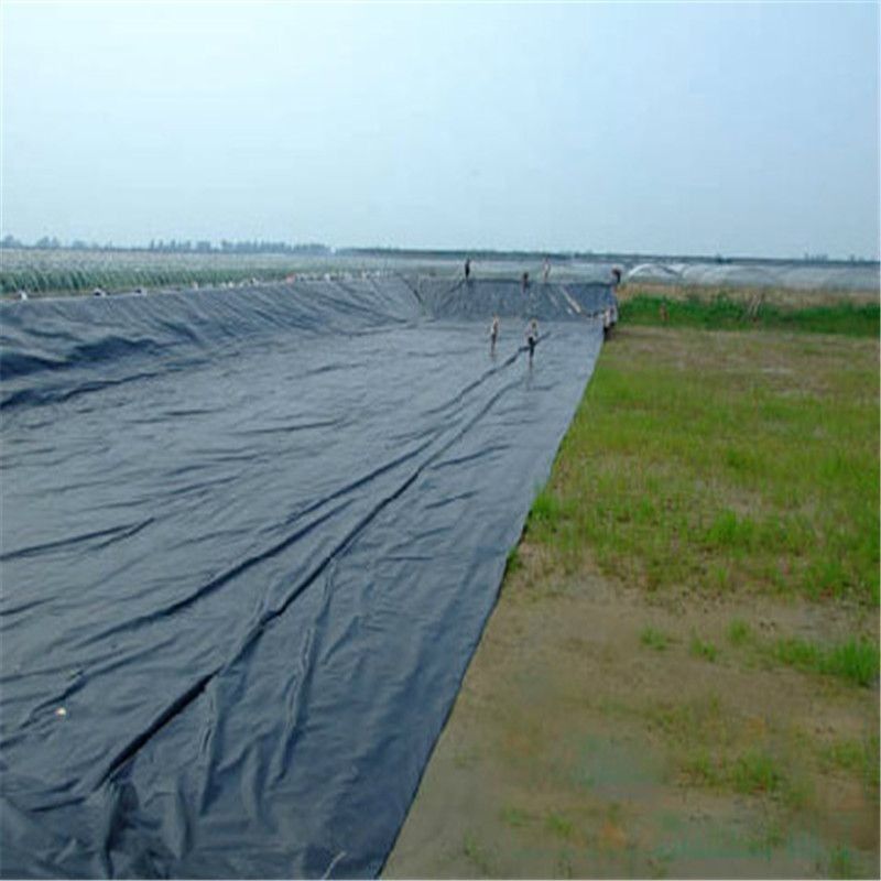 HDPE High Definition Polyethylene Liner سبک طراحی صنعتی برای استخر های ماهی و کباب