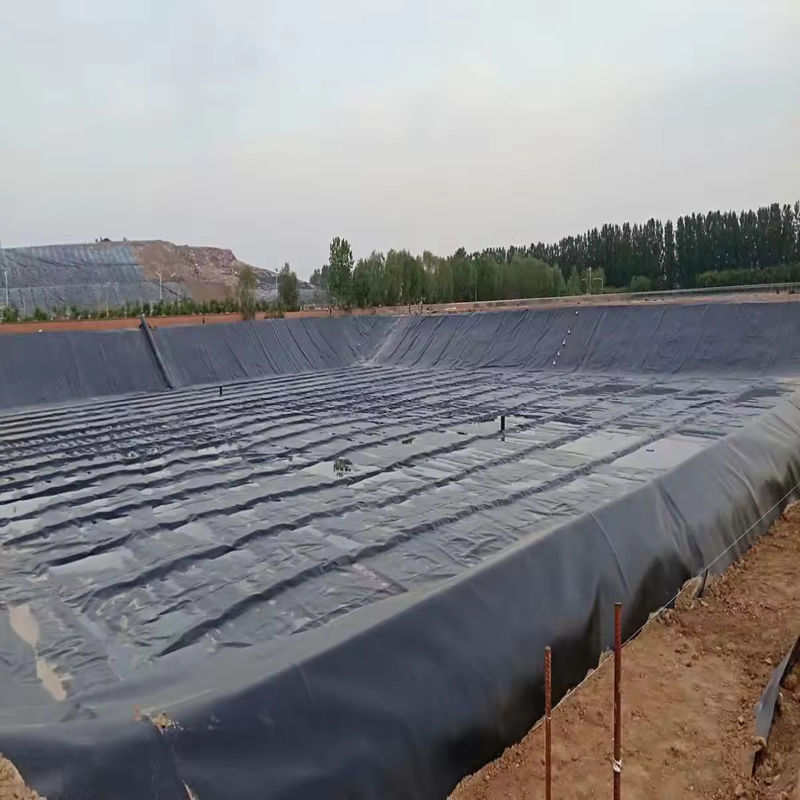 بسته بندی شده HDPE LDPE LLDPE PVC Geomembranes لاینر استخر برای استخر ماهی و میگو و لاینر استخر پلی اتیلن تقویت شده