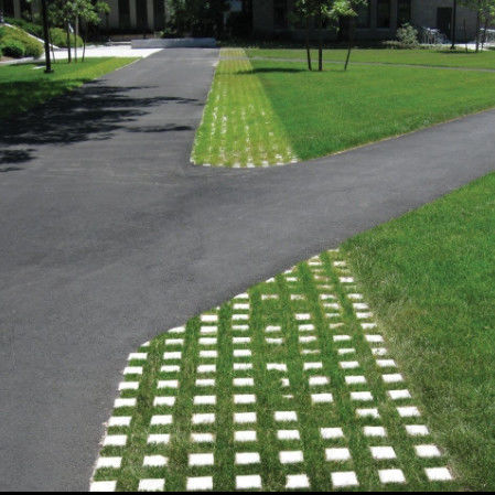 شبکه چمن پلاستیکی برای پارکینگ آتش از محل خروج HDPE Pavers شبکه جغرافیایی برای زمین زمین زمین زمین زمین زمین