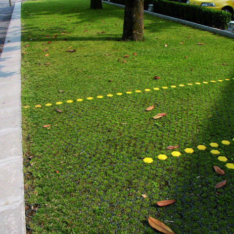 شبکه چمن پلاستیکی برای پارکینگ آتش از محل خروج HDPE Pavers شبکه جغرافیایی برای زمین زمین زمین زمین زمین زمین