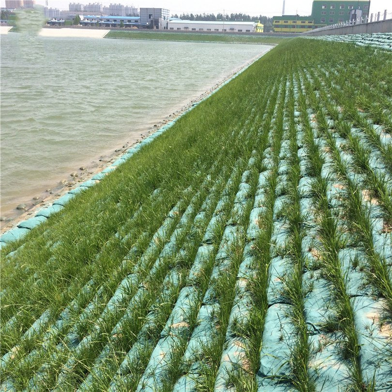 صنعت 40*80 سانتی متر ژئوتکستیل ژئوتکستیل Geobag برای حفاظت از شیب بزرگراه ژئوتکستیل ژئوتکستیل ژئوتکستیل ژئوتکستیل ژئوتکستیل ژئوتکستیل ژئوتکستیل