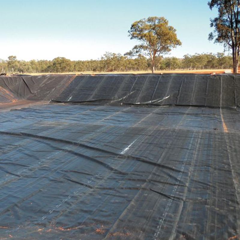 سخت سیاه لاینر Hdpe ضد آب لاینر استخر ژومبرن پلی اتیلن قیمت کارخانه برای فروش